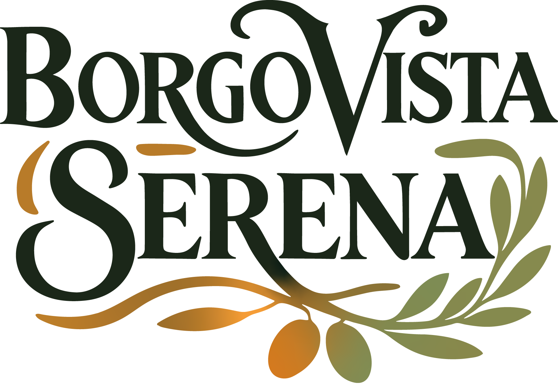 Borgo Vista Serena logo