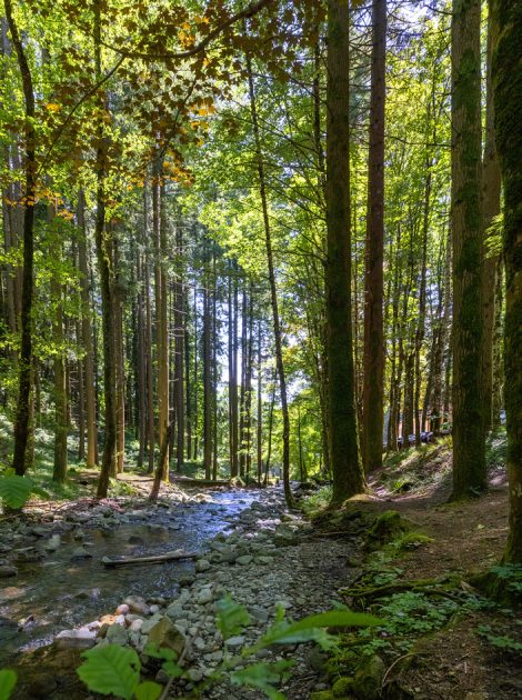 Wandelroutes direct vanaf Borgo Vista Serena