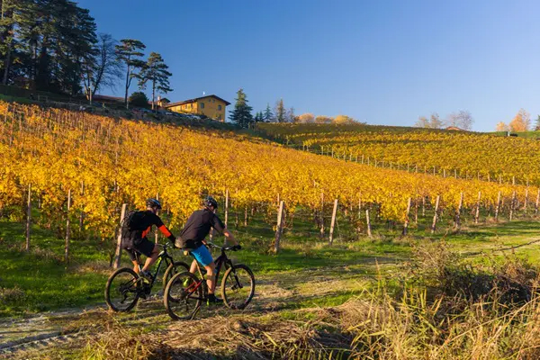 Arezzo, een aantrekkelijke dagtrip vanaf Borgo Vista Serena
