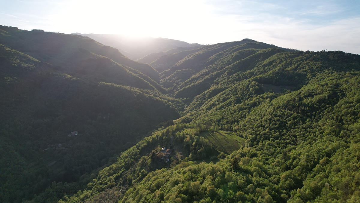 Groene omgeving rond Borgo Vista Serena in Serraglio