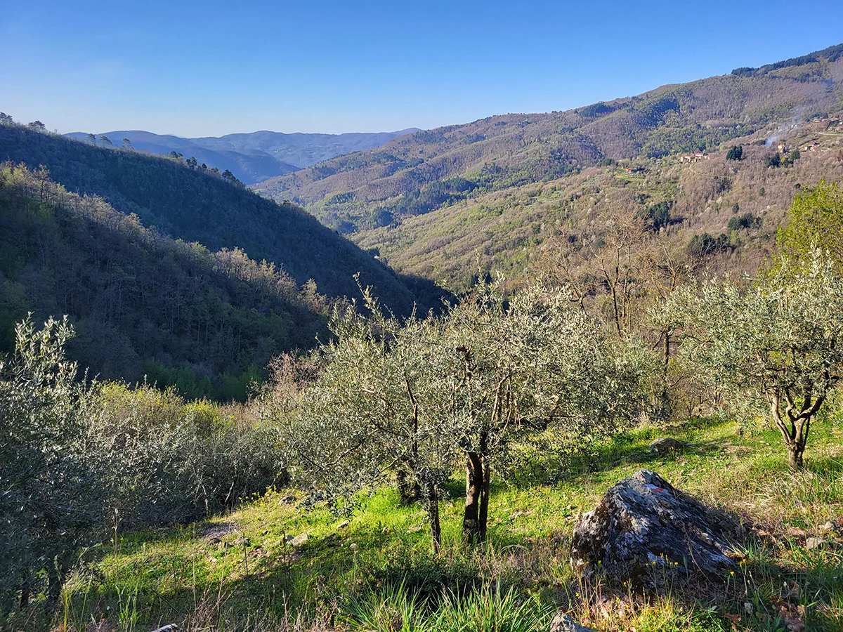 Uitzicht bij appartement Toscane 2 personen in de heuvels