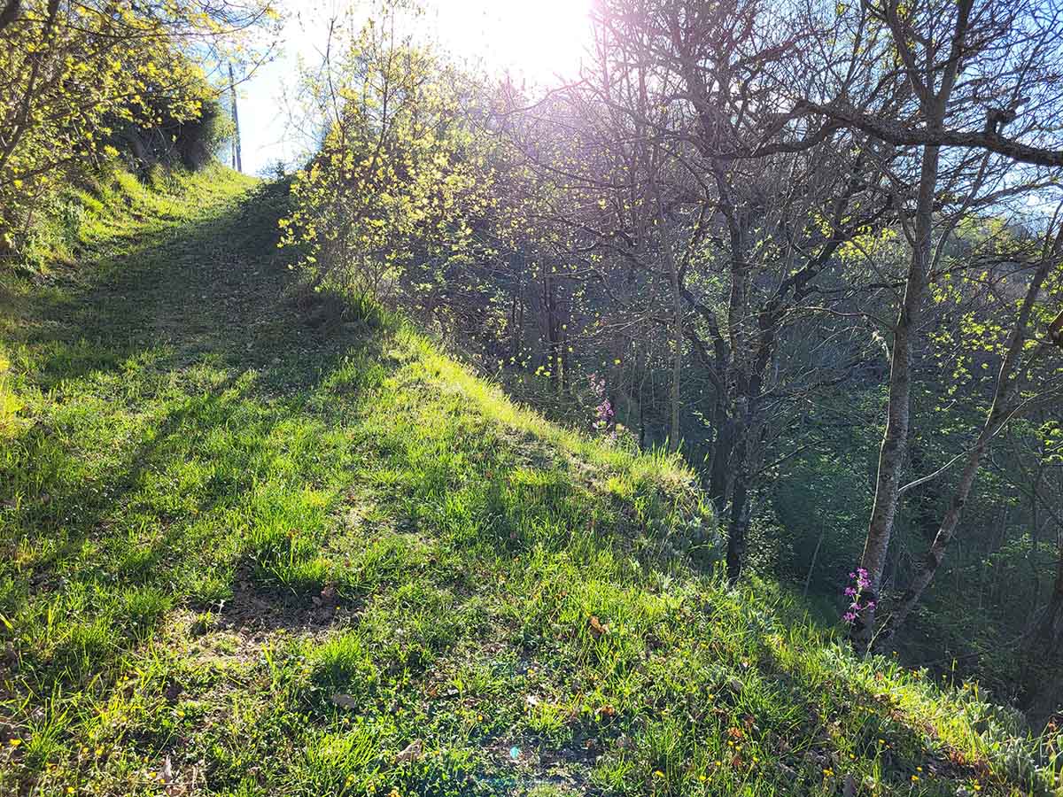 Wandelen rondom Borgo Vista Serena in Toscane