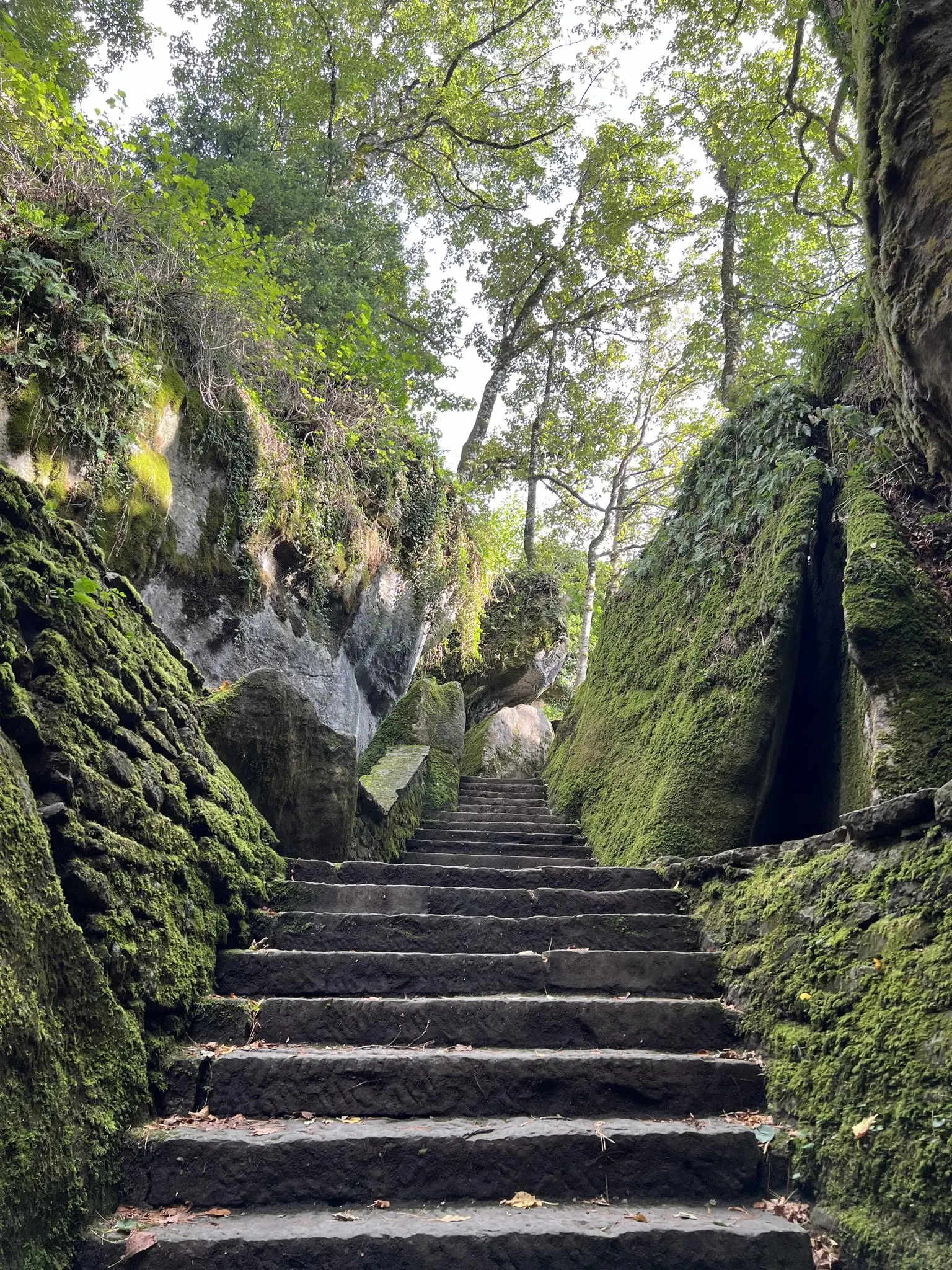 La Verna Toscane, heiligdom in de bossen van Casentino